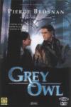 Grey Owl