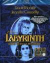 Labyrinth