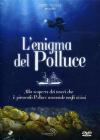 Enigma Del Polluce (L')