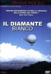 Diamante Bianco (Il)