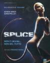 Splice