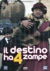 Destino Ha 4 Zampe (Il)