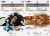 Caro Fratello - Serie Completa (8 Dvd)