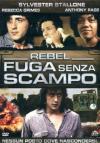 Rebel - Fuga Senza Scampo