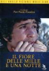 Fiore Delle Mille E Una Notte (Il)