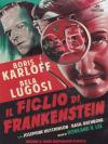 Figlio Di Frankenstein (Il)