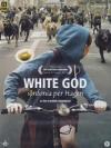 White God