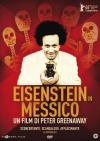 Eisenstein In Messico