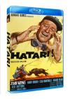 Hatari