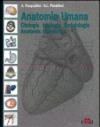 Anatomia umana. Citologia, istologia, embriologia, anatomia sistematica