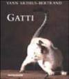 Gatti