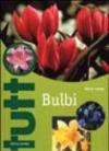 Bulbi