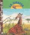 La giraffa