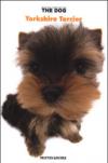 Yorkshire terrier. The dog: 4