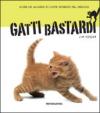 Gatti bastardi