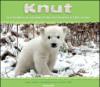 Knut. La storia del piccolo orso polare che ha tenuto il mondo con il fiato sospeso. Ediz. illustrata