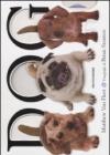 Dog. Ediz. illustrata