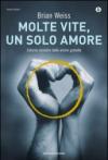 Molte vite, un solo amore 2013