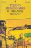 Il grande orfano