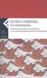 La transizione. Analisi del processo di transizione a una società postindustriale ecocompatibile