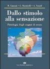 Dallo stimolo alla sensazione. Fisiologia degli organi di senso