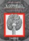 Il cervello. Introduzione alle neuroscienze