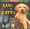 Cani e gatti