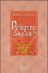 Pellegrino, dove vai? Io e la mia bicicletta a Santiago