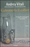 Galeotto fu il collier