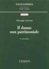 Il danno non patrimoniale