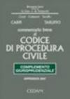 Commentario breve al Codice di procedura civile. Complemento giurisprudenziale. Appendice di aggiornamento 2007