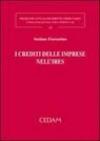 I crediti delle imprese nell'Ires