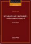 Separazione e divorzio. I profili di responsabilità