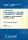 Il nuovo rito del contenzioso familiare e l'affidamento condiviso. Le riforme del diritto di famiglia viste dagli avvocati. Commenti, formulari e documenti