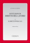 Istituzioni di diritto del lavoro: 1