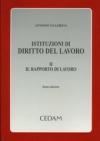 Istituzioni di diritto del lavoro. 2.Il rapporto di lavoro
