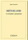 Diritto del lavoro. Le novità legislative e giurisprudenziali