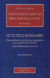 Trattato di diritto processuale civile: 10