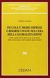 Piccole e medie imprese e risorse umane nell'era della globalizzazione. Come valorizzare attraverso la gestione della conoscenza e del capitale esperenziale