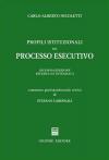 Profili istituzionali del processo esecutivo