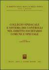 Collegio sindacale e sistema dei controlli nel diritto societario comune e speciale