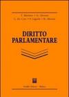Diritto parlamentare