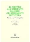 Il diritto all'ambiente salubre: gli strumenti di tutela. Lo status quo e le prospettive