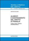 Alimenti e mantenimento nel diritto di famiglia. Tutela civile, penale, internazionale