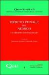 Diritto penale del nemico. Un dibattito internazionale
