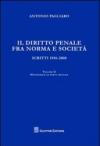 Il diritto penale fra norma e società. Scritti 1056-2008