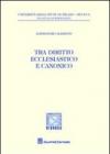 Tra diritto ecclesiastico e diritto canonico