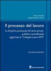 Il processo del lavoro. La disciplina processuale del lavoro privato, pubblico e previdenziale