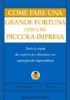 Come fare una grande fortuna con una piccola impresa