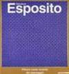 Salvatore Esposito. Pittura come incanto del paesaggio. Catalogo della mostra (Sassari, 1999)